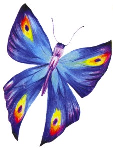 butterfly-scan copy